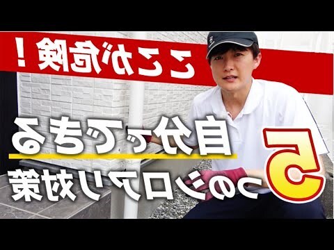 白蟻 風水